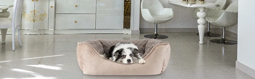 cat bed